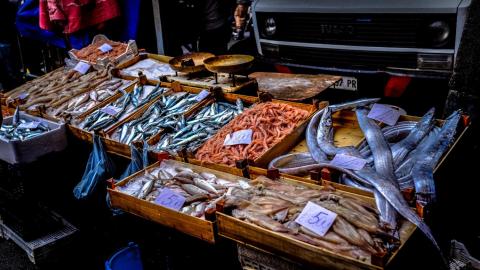 Safe, Sustainable Seafood | Inexperienced America