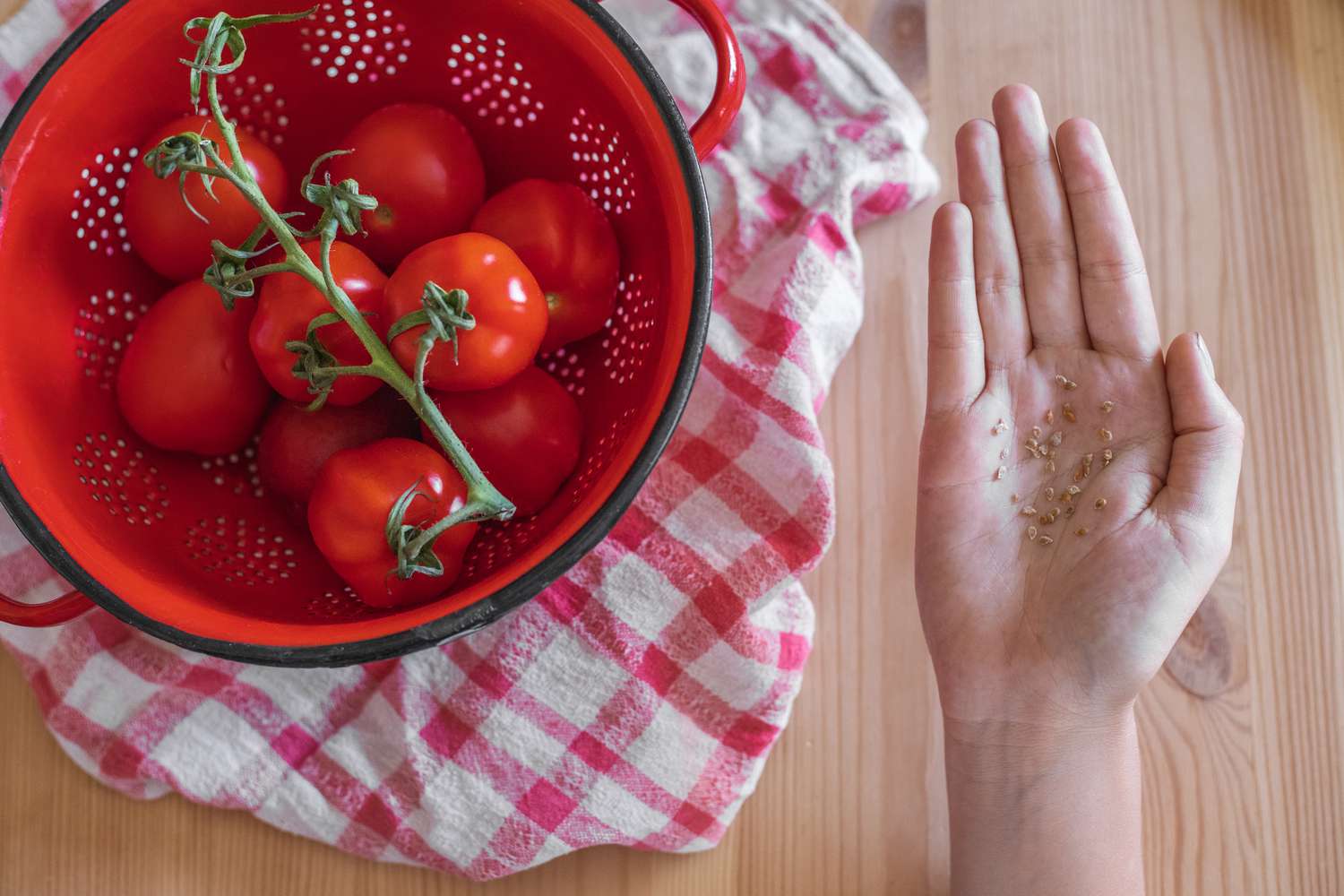 The way in which to Save Tomato Seeds: Step-by-Step Instructions